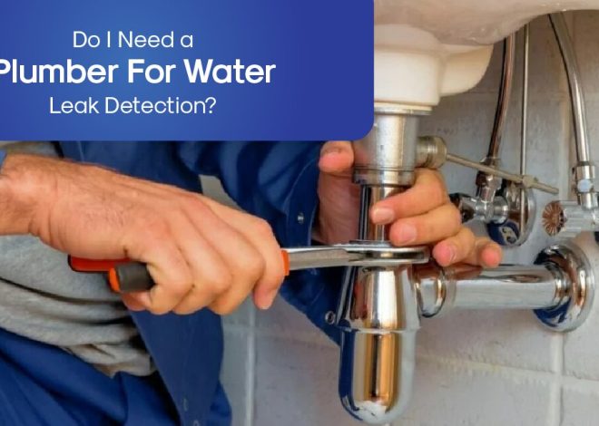 Do I Need a Plumber For Water Leak Detection?