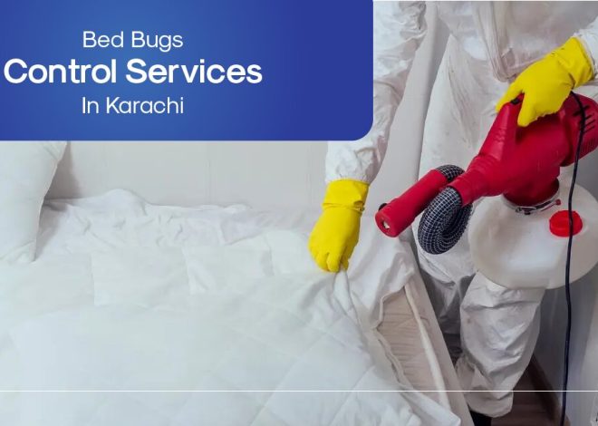 Bed Bugs Pest Control Services In Karachi