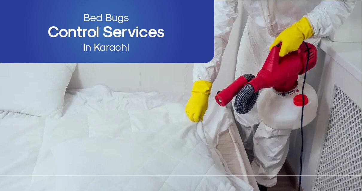 Bed Bugs Pest Control Services In Karachi