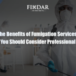 The Benefits of Fumigation Services: Why You Should Consider Professional Help